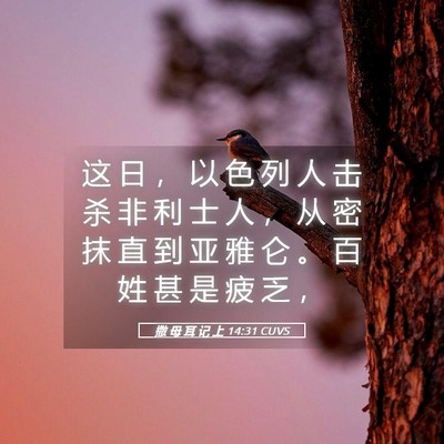 Picture 05 - 撒 母 耳 记 上 14:31 CUVS - 这 日 ， 以 色 列 人 击 杀 非 利 士 - Bible Verse Picture