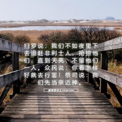 Picture 05 - 撒 母 耳 记 上 14:36 CUVS - 扫 罗 说 ： 我 们 不 如 夜 里 下 去 - Bible Verse Picture