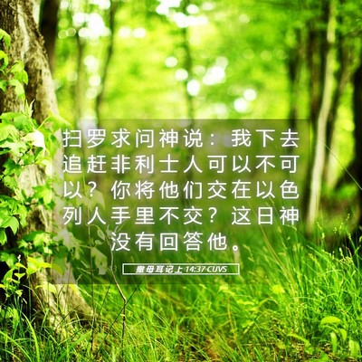 Picture 05 - 撒 母 耳 记 上 14:37 CUVS - 扫 罗 求 问 神 说 ： 我 下 去 追 赶 - Bible Verse Picture