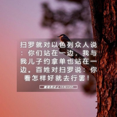 Picture 05 - 撒 母 耳 记 上 14:40 CUVS - 扫 罗 就 对 以 色 列 众 人 说 ： 你 - Bible Verse Picture