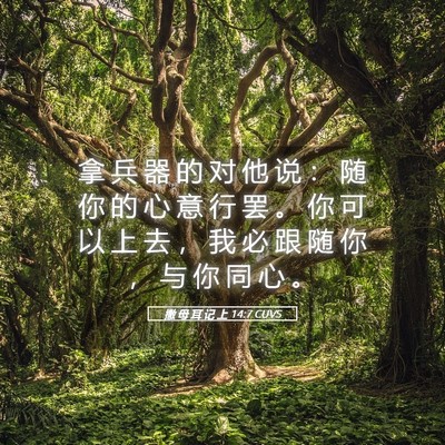 Picture 05 - 撒 母 耳 记 上 14:7 CUVS - 拿 兵 器 的 对 他 说 ： 随 你 的 心 - Bible Verse Picture
