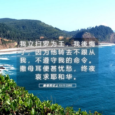 Picture 05 - 撒 母 耳 记 上 15:11 CUVS - 我 立 扫 罗 为 王 ， 我 後 悔 了 ； - Bible Verse Picture