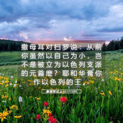 Picture 05 - 撒 母 耳 记 上 15:17 CUVS - 撒 母 耳 对 扫 罗 说 ： 从 前 你 虽 - Bible Verse Picture