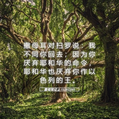 Picture 05 - 撒 母 耳 记 上 15:26 CUVS - 撒 母 耳 对 扫 罗 说 ： 我 不 同 你 - Bible Verse Picture