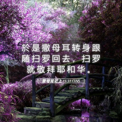 Picture 05 - 撒 母 耳 记 上 15:31 CUVS - 於 是 撒 母 耳 转 身 跟 随 扫 罗 回 - Bible Verse Picture