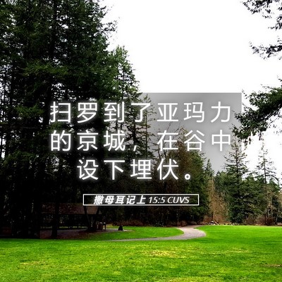 Picture 05 - 撒 母 耳 记 上 15:5 CUVS - 扫 罗 到 了 亚 玛 力 的 京 城 ， 在 - Bible Verse Picture