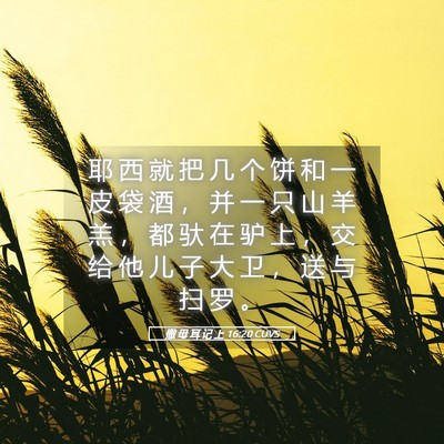 Picture 05 - 撒 母 耳 记 上 16:20 CUVS - 耶 西 就 把 几 个 饼 和 一 皮 袋 酒 - Bible Verse Picture