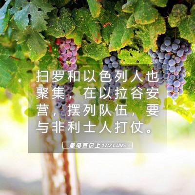 Picture 05 - 撒 母 耳 记 上 17:2 CUVS - 扫 罗 和 以 色 列 人 也 聚 集 ， 在 - Bible Verse Picture