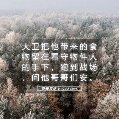 Picture 05 - 撒 母 耳 记 上 17:22 CUVS - 大 卫 把 他 带 来 的 食 物 留 在 看 - Bible Verse Picture