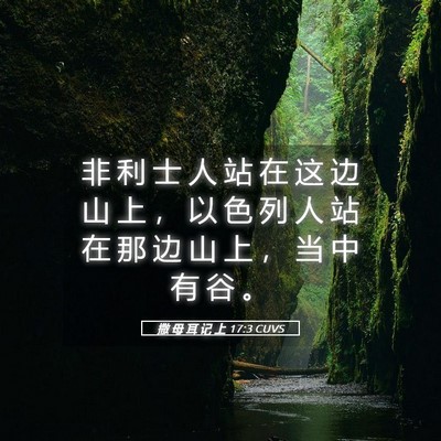 Picture 05 - 撒 母 耳 记 上 17:3 CUVS - 非 利 士 人 站 在 这 边 山 上 ， 以 - Bible Verse Picture