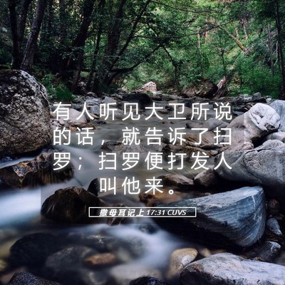 Picture 05 - 撒 母 耳 记 上 17:31 CUVS - 有 人 听 见 大 卫 所 说 的 话 ， 就 - Bible Verse Picture