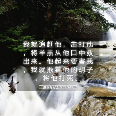 Picture 05 - 撒 母 耳 记 上 17:35 CUVS - 我 就 追 赶 他 ， 击 打 他 ， 将 羊 - Bible Verse Picture