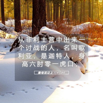 Picture 05 - 撒 母 耳 记 上 17:4 CUVS - 从 非 利 士 营 中 出 来 一 个 讨 战 - Bible Verse Picture