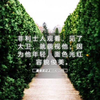 Picture 05 - 撒 母 耳 记 上 17:42 CUVS - 非 利 士 人 观 看 ， 见 了 大 卫 ， - Bible Verse Picture