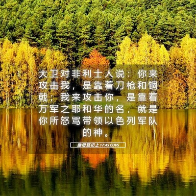 Picture 05 - 撒 母 耳 记 上 17:45 CUVS - 大 卫 对 非 利 士 人 说 ： 你 来 攻 - Bible Verse Picture