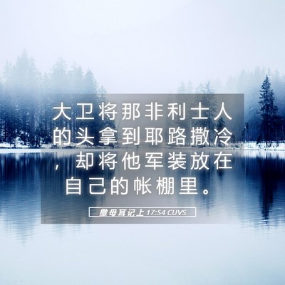 Picture 05 - 撒 母 耳 记 上 17:54 CUVS - 大 卫 将 那 非 利 士 人 的 头 拿 到 - Bible Verse Picture