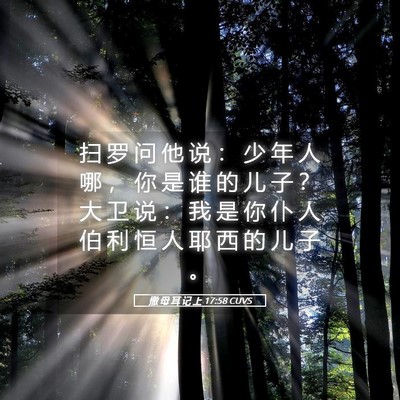Picture 05 - 撒 母 耳 记 上 17:58 CUVS - 扫 罗 问 他 说 ： 少 年 人 哪 ， 你 - Bible Verse Picture