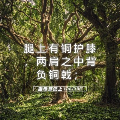 Picture 05 - 撒 母 耳 记 上 17:6 CUVS - 腿 上 有 铜 护 膝 ， 两 肩 之 中 背 - Bible Verse Picture