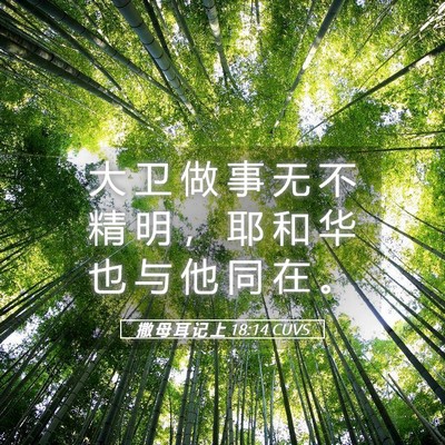Picture 05 - 撒 母 耳 记 上 18:14 CUVS - 大 卫 做 事 无 不 精 明 ， 耶 和 华 - Bible Verse Picture