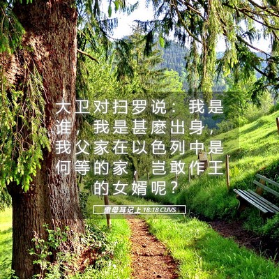 Picture 05 - 撒 母 耳 记 上 18:18 CUVS - 大 卫 对 扫 罗 说 ： 我 是 谁 ， 我 - Bible Verse Picture