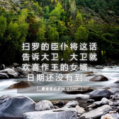 Picture 05 - 撒 母 耳 记 上 18:26 CUVS - 扫 罗 的 臣 仆 将 这 话 告 诉 大 卫 - Bible Verse Picture