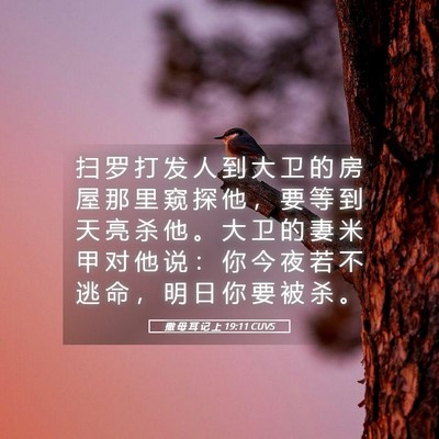Picture 05 - 撒 母 耳 记 上 19:11 CUVS - 扫 罗 打 发 人 到 大 卫 的 房 屋 那 - Bible Verse Picture
