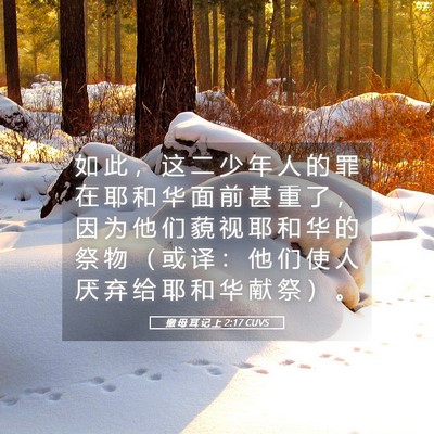 Picture 05 - 撒 母 耳 记 上 2:17 CUVS - 如 此 ， 这 二 少 年 人 的 罪 在 耶 - Bible Verse Picture