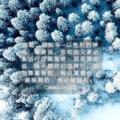 Picture 05 - 撒 母 耳 记 上 2:30 CUVS - 因 此 ， 耶 和 华 ─ 以 色 列 的 神 - Bible Verse Picture