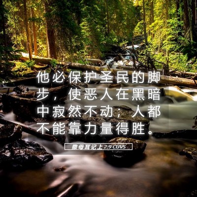 Picture 05 - 撒 母 耳 记 上 2:9 CUVS - 他 必 保 护 圣 民 的 脚 步 ， 使 恶 - Bible Verse Picture