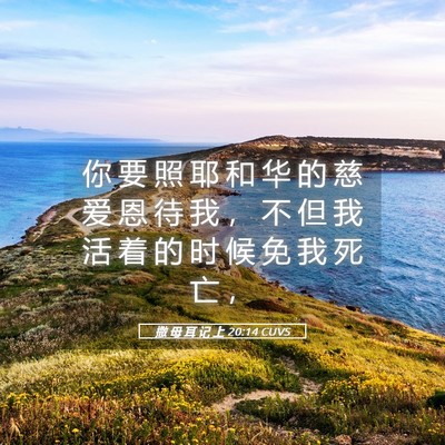 Picture 05 - 撒 母 耳 记 上 20:14 CUVS - 你 要 照 耶 和 华 的 慈 爱 恩 待 我 - Bible Verse Picture
