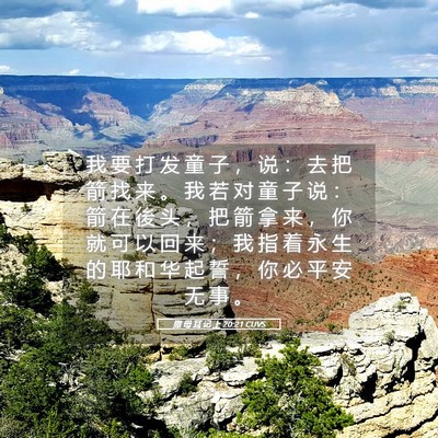 Picture 05 - 撒 母 耳 记 上 20:21 CUVS - 我 要 打 发 童 子 ， 说 ： 去 把 箭 - Bible Verse Picture