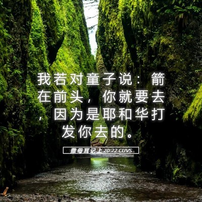 Picture 05 - 撒 母 耳 记 上 20:22 CUVS - 我 若 对 童 子 说 ： 箭 在 前 头 ， - Bible Verse Picture