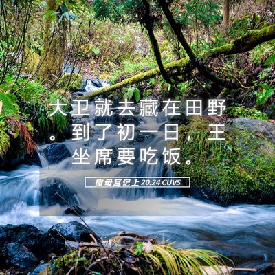 Picture 05 - 撒 母 耳 记 上 20:24 CUVS - 大 卫 就 去 藏 在 田 野 。 到 了 初 - Bible Verse Picture
