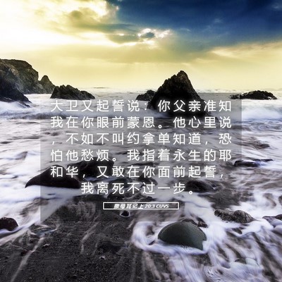 Picture 05 - 撒 母 耳 记 上 20:3 CUVS - 大 卫 又 起 誓 说 ： 你 父 亲 准 知 - Bible Verse Picture