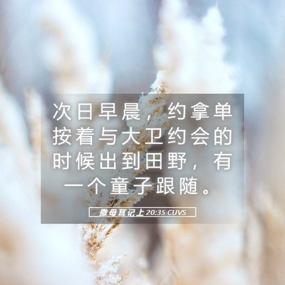 Picture 05 - 撒 母 耳 记 上 20:35 CUVS - 次 日 早 晨 ， 约 拿 单 按 着 与 大 - Bible Verse Picture