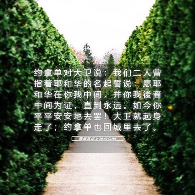 Picture 05 - 撒 母 耳 记 上 20:42 CUVS - 约 拿 单 对 大 卫 说 ： 我 们 二 人 - Bible Verse Picture