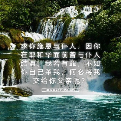 Picture 05 - 撒 母 耳 记 上 20:8 CUVS - 求 你 施 恩 与 仆 人 ， 因 你 在 耶 - Bible Verse Picture