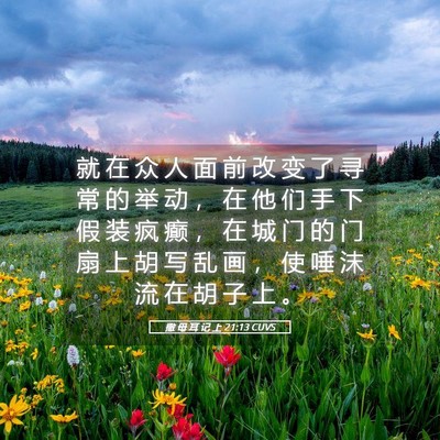 Picture 05 - 撒 母 耳 记 上 21:13 CUVS - 就 在 众 人 面 前 改 变 了 寻 常 的 - Bible Verse Picture