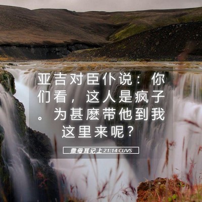 Picture 05 - 撒 母 耳 记 上 21:14 CUVS - 亚 吉 对 臣 仆 说 ： 你 们 看 ， 这 - Bible Verse Picture