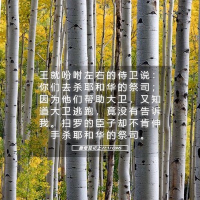 Picture 05 - 撒 母 耳 记 上 22:17 CUVS - 王 就 吩 咐 左 右 的 侍 卫 说 ： 你 - Bible Verse Picture