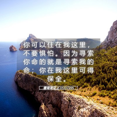 Picture 05 - 撒 母 耳 记 上 22:23 CUVS - 你 可 以 住 在 我 这 里 ， 不 要 惧 - Bible Verse Picture
