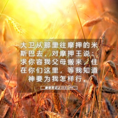 Picture 05 - 撒 母 耳 记 上 22:3 CUVS - 大 卫 从 那 里 往 摩 押 的 米 斯 巴 - Bible Verse Picture