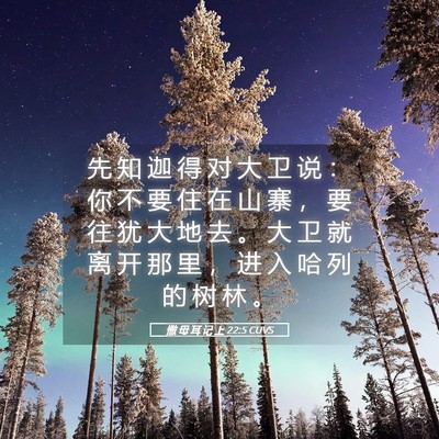 Picture 05 - 撒 母 耳 记 上 22:5 CUVS - 先 知 迦 得 对 大 卫 说 ： 你 不 要 - Bible Verse Picture