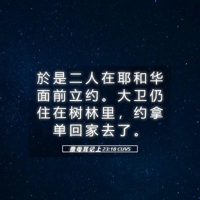 Picture 05 - 撒 母 耳 记 上 23:18 CUVS - 於 是 二 人 在 耶 和 华 面 前 立 约 - Bible Verse Picture