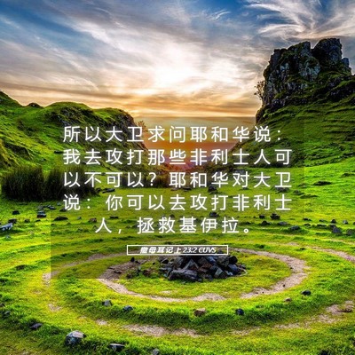Picture 05 - 撒 母 耳 记 上 23:2 CUVS - 所 以 大 卫 求 问 耶 和 华 说 ： 我 - Bible Verse Picture