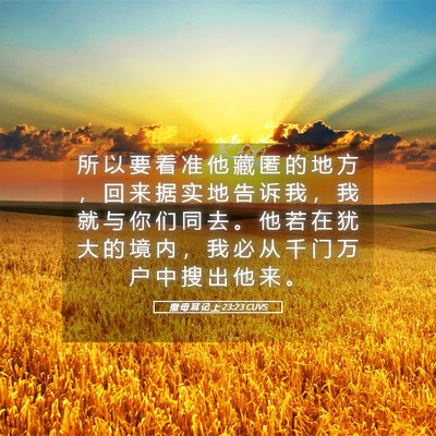 Picture 05 - 撒 母 耳 记 上 23:23 CUVS - 所 以 要 看 准 他 藏 匿 的 地 方 ， - Bible Verse Picture