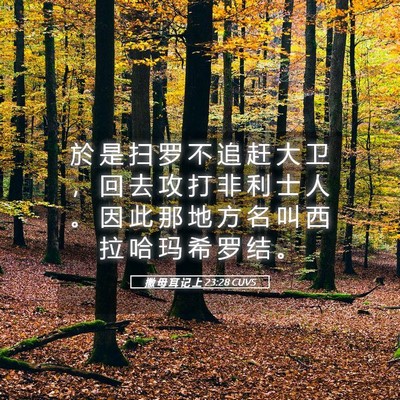 Picture 05 - 撒 母 耳 记 上 23:28 CUVS - 於 是 扫 罗 不 追 赶 大 卫 ， 回 去 - Bible Verse Picture