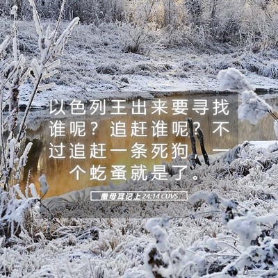 Picture 05 - 撒 母 耳 记 上 24:14 CUVS - 以 色 列 王 出 来 要 寻 找 谁 呢 ？ - Bible Verse Picture