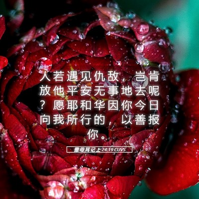 Picture 05 - 撒 母 耳 记 上 24:19 CUVS - 人 若 遇 见 仇 敌 ， 岂 肯 放 他 平 - Bible Verse Picture