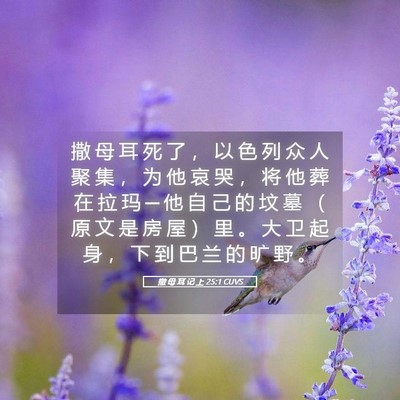 Picture 05 - 撒 母 耳 记 上 25:1 CUVS - 撒 母 耳 死 了 ， 以 色 列 众 人 聚 - Bible Verse Picture